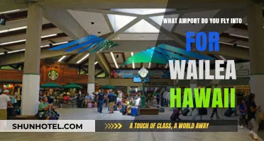 Which Airport Serves Wailea, Hawaii? Your Ultimate Travel Guide
