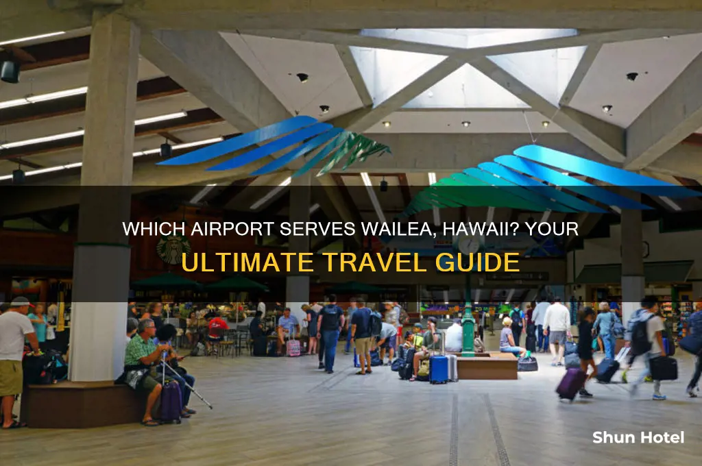 what airport do you fly into for wailea hawaii