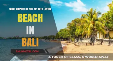 Fly to Lovina Beach Bali: Nearest Airport Guide for Travelers