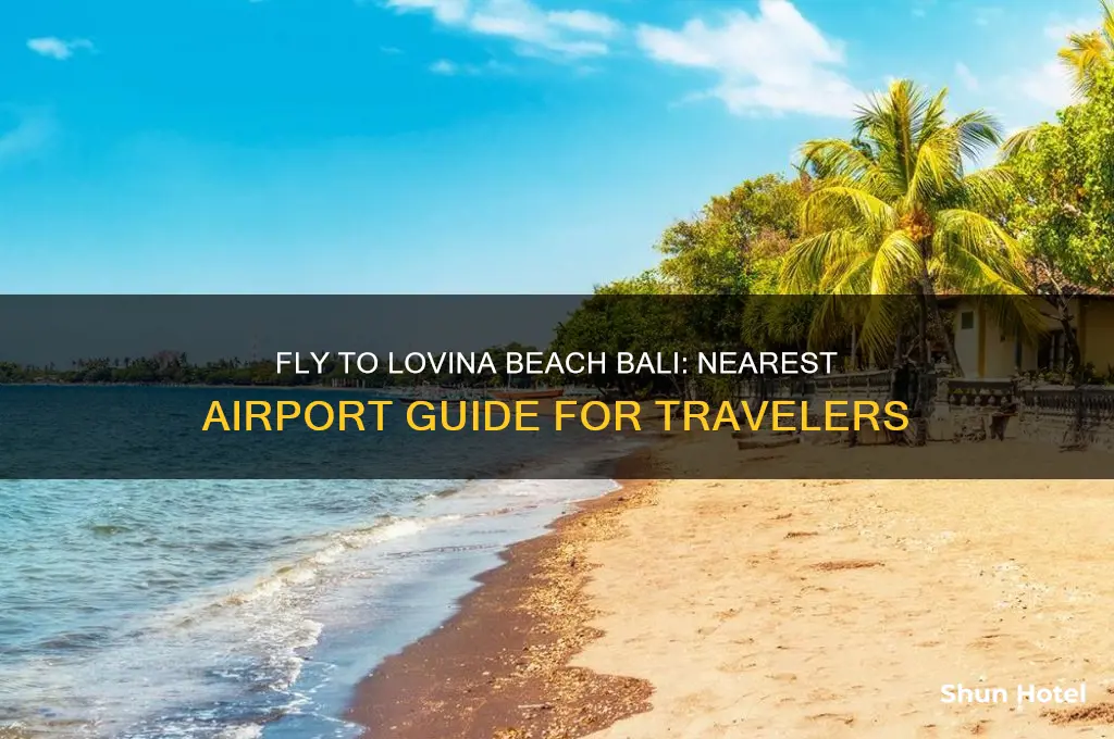 what airport do you fly into lovina beach in bali