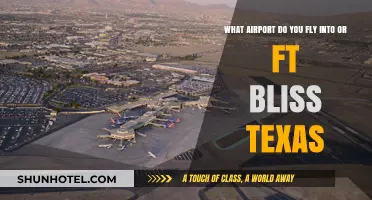 Flying to Ft. Bliss, Texas: Your Guide to the Nearest Airport