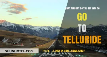 Fly into Telluride: Your Ultimate Airport Guide for Easy Access