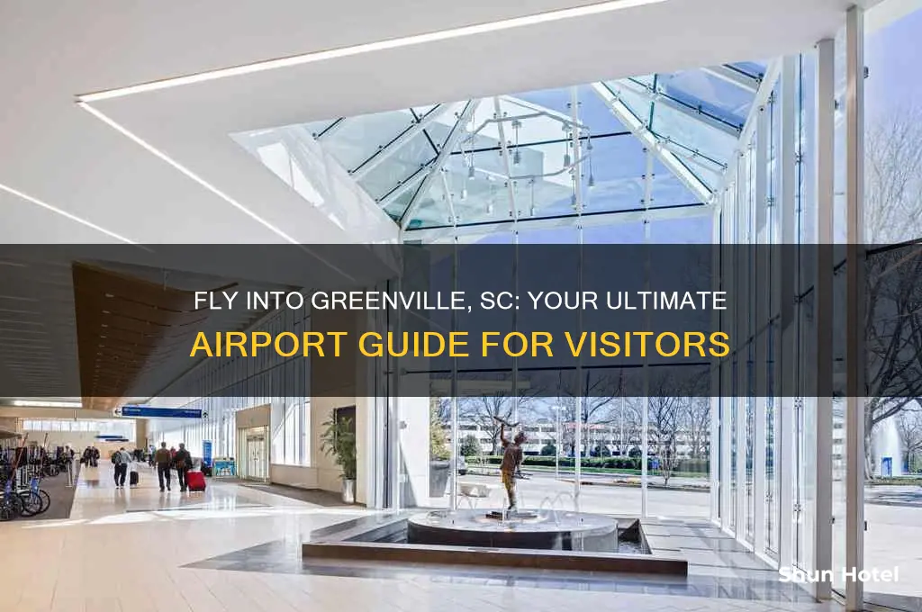 what airport do you fly into to visit greenville nx