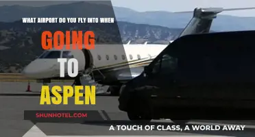 Flying to Aspen: Your Guide to the Nearest Airport Options