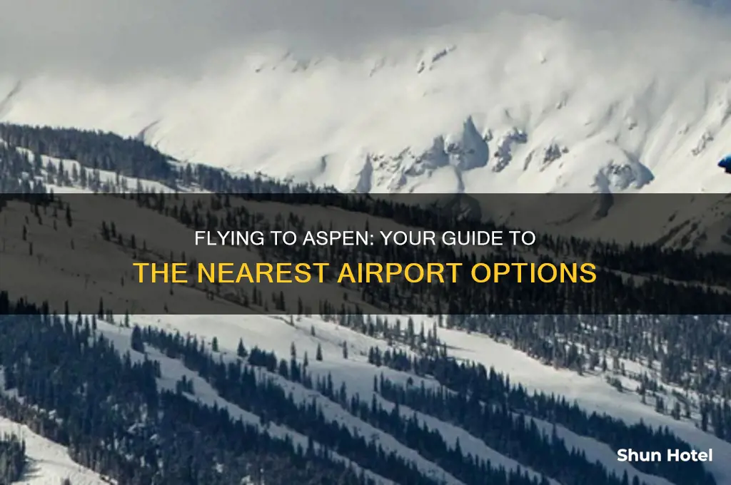what airport do you fly into when going to aspen