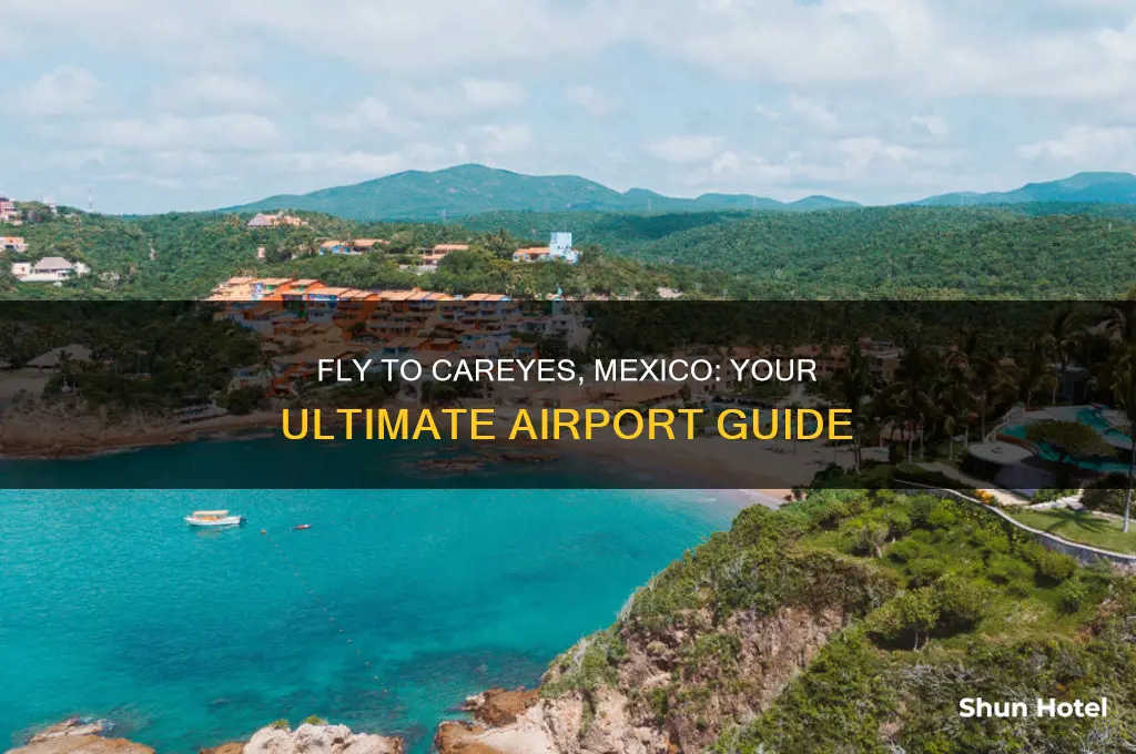 what airport do you fly into yo reach careyes mexico