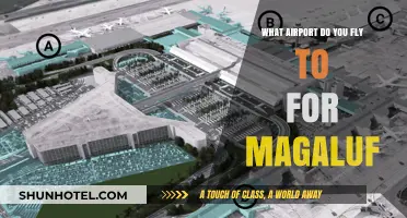 Fly to Palma de Mallorca Airport for Magaluf Vacations