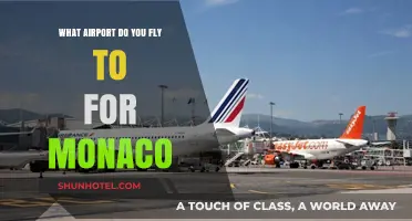 Fly to Nice Côte d'Azur Airport for Monaco Travel