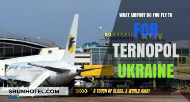 Which Airport Serves Ternopil, Ukraine? Your Ultimate Travel Guide