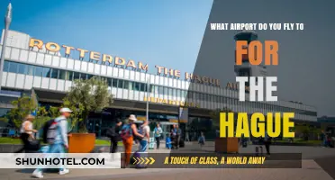 Flying to The Hague: Which Airport Should You Choose?