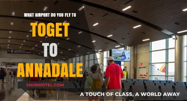 Which Airport Serves Annadale? Your Ultimate Travel Guide to Arrival