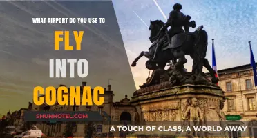 Flying to Cognac: Your Guide to the Nearest Airport