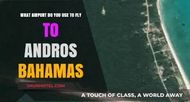 Fly to Andros Bahamas: Which Airport Should You Choose?