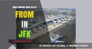 Which JFK Airport Terminal Does American Airlines (AA) Operate From?