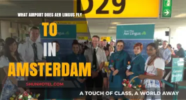 Aer Lingus Amsterdam Airport Guide: Which Hub Does It Serve?