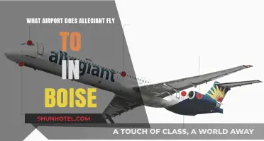 Allegiant Air's Boise Destination: Which Airport Does It Serve?
