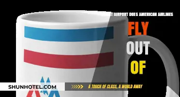 American Airlines Departure Airports: A Comprehensive Guide to Their Hubs