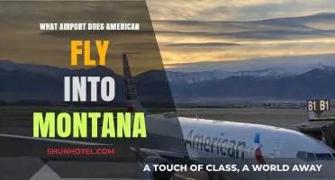 American Airlines Montana Destinations: Which Airports Does It Serve?
