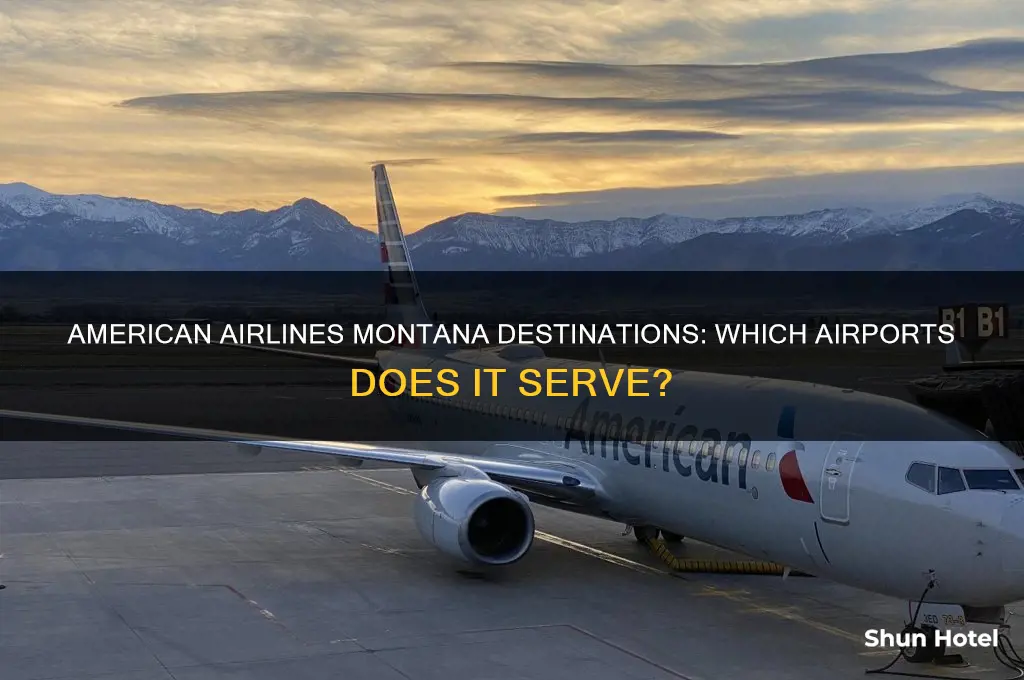 what airport does american fly into montana