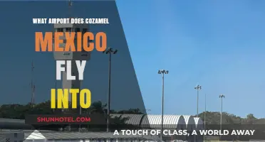 Flying to Cozumel, Mexico: Which Airport Serves the Island?