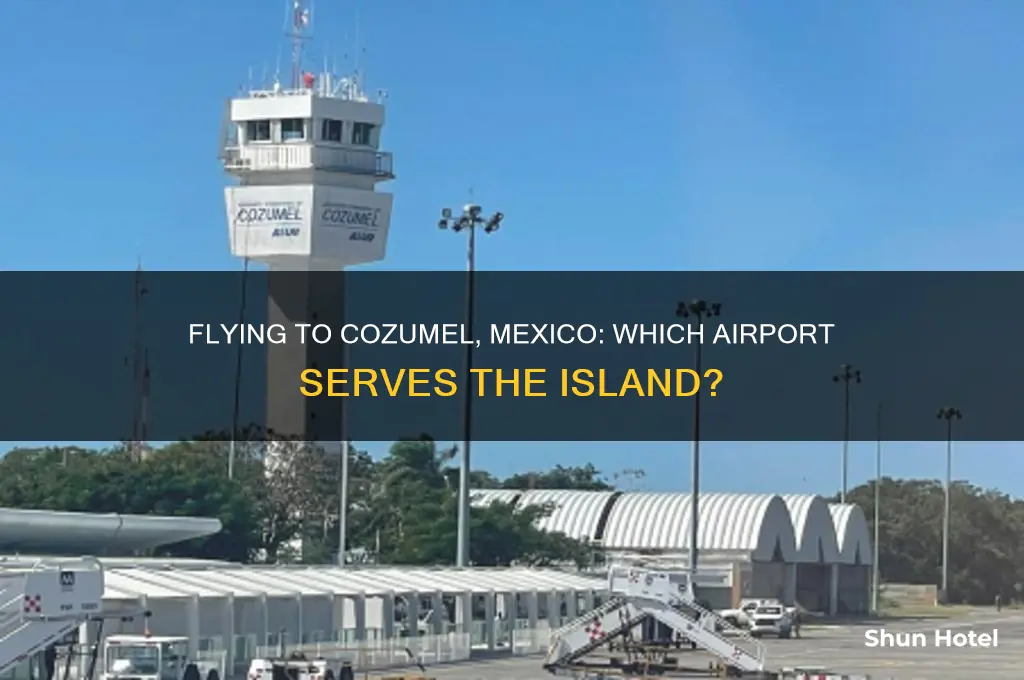 what airport does cozamel mexico fly into