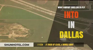 Delta's Dallas Hub: Which Airport Does Delta Fly Into?