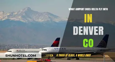Delta's Denver Hub: Which Airport Does Delta Fly Into in CO?