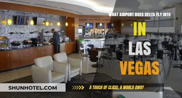 Delta's Las Vegas Gateway: Which Airport Does It Serve?