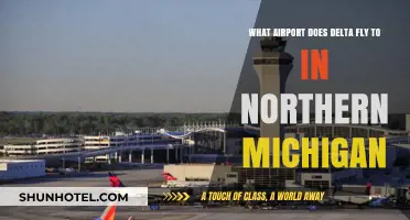 Delta's Northern Michigan Destination: Which Airport Does It Serve?
