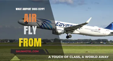 EgyptAir's Departure Hubs: Key Airports for Global Flights
