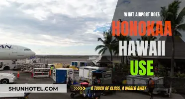 Hawaii's Honokaa Airport: Where to Fly In and Out
