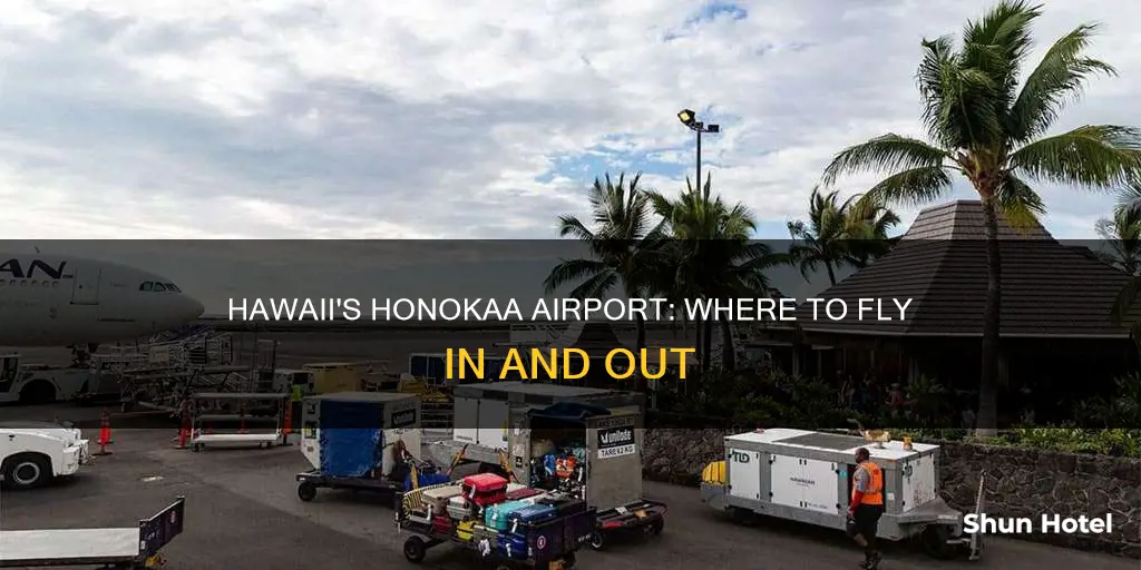 what airport does honokaa hawaii use