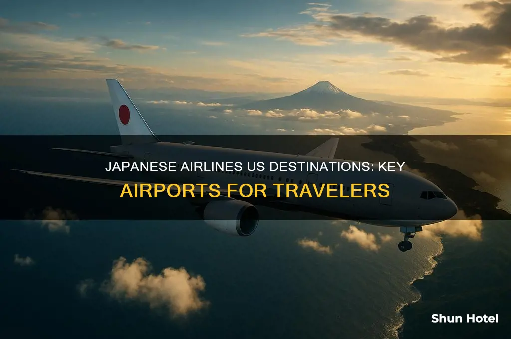 what airport does japanese airlines fly into in us