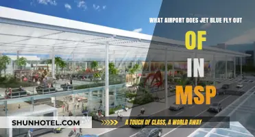 JetBlue's MSP Airport: Which Terminal and Gate to Find