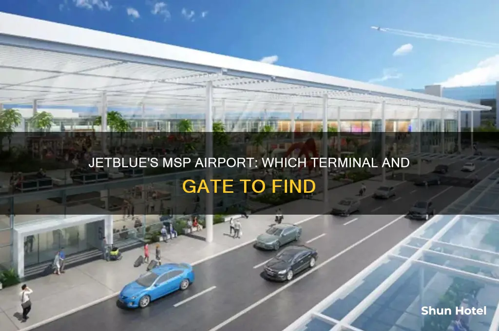 what airport does jet blue fly out of in msp