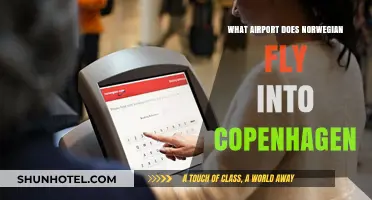 Norwegian Airlines Copenhagen Destinations: Which Airport Does It Fly Into?