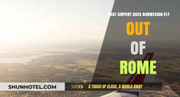 Norwegian Airlines Rome: Which Airport Serves as Its Departure Hub?