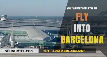 Ryanair's Barcelona Airport Guide: Which Hub Serves Your Flight?