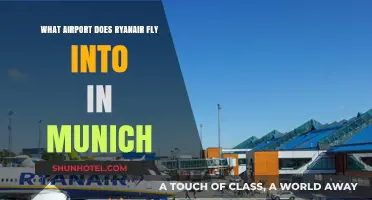 Ryanair's Munich Airport Guide: Which Hub Serves Your Bavarian Adventure?