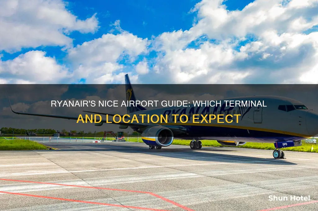 what airport does ryanair fly into in nice