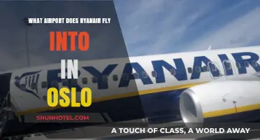 Ryanair's Oslo Airport Guide: Which Hub Serves Your Norwegian Journey?