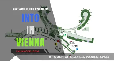 Ryanair's Vienna Airport Guide: Which Hub Serves the City?