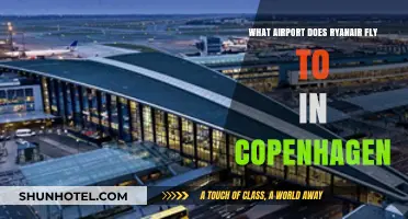 Ryanair's Copenhagen Airport Guide: Which Hub Serves the City?