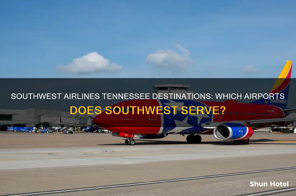 what airport does southwest fly into tennesse