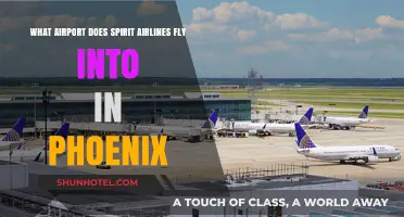 Spirit Airlines Phoenix: Which Airport Does It Serve in the Valley?
