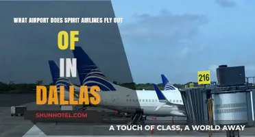Spirit Airlines Dallas: Which Airport Does It Operate From?