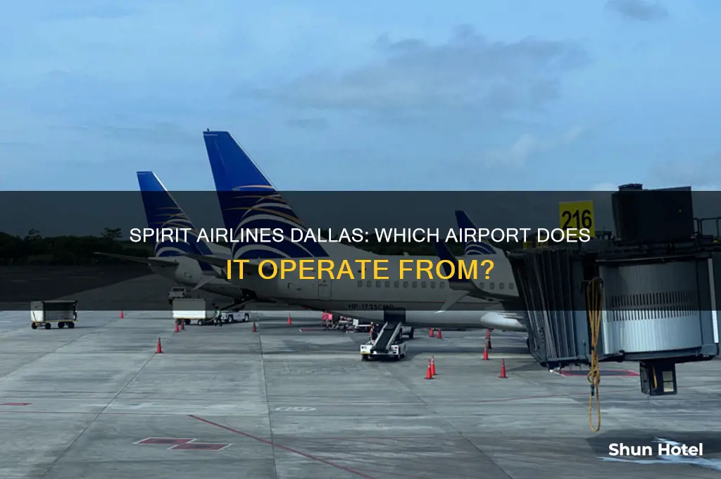 what airport does spirit airlines fly out of in dallas
