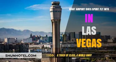 Spirit Airlines Las Vegas Airport Guide: McCarran International Arrival