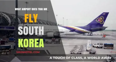 Thai Airways South Korea Flights: Which Airport Does It Serve?