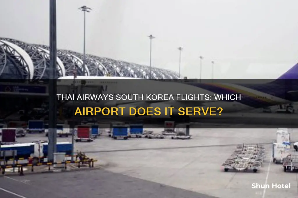what airport does thai air fly south korea